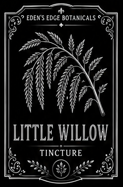 Little Willow